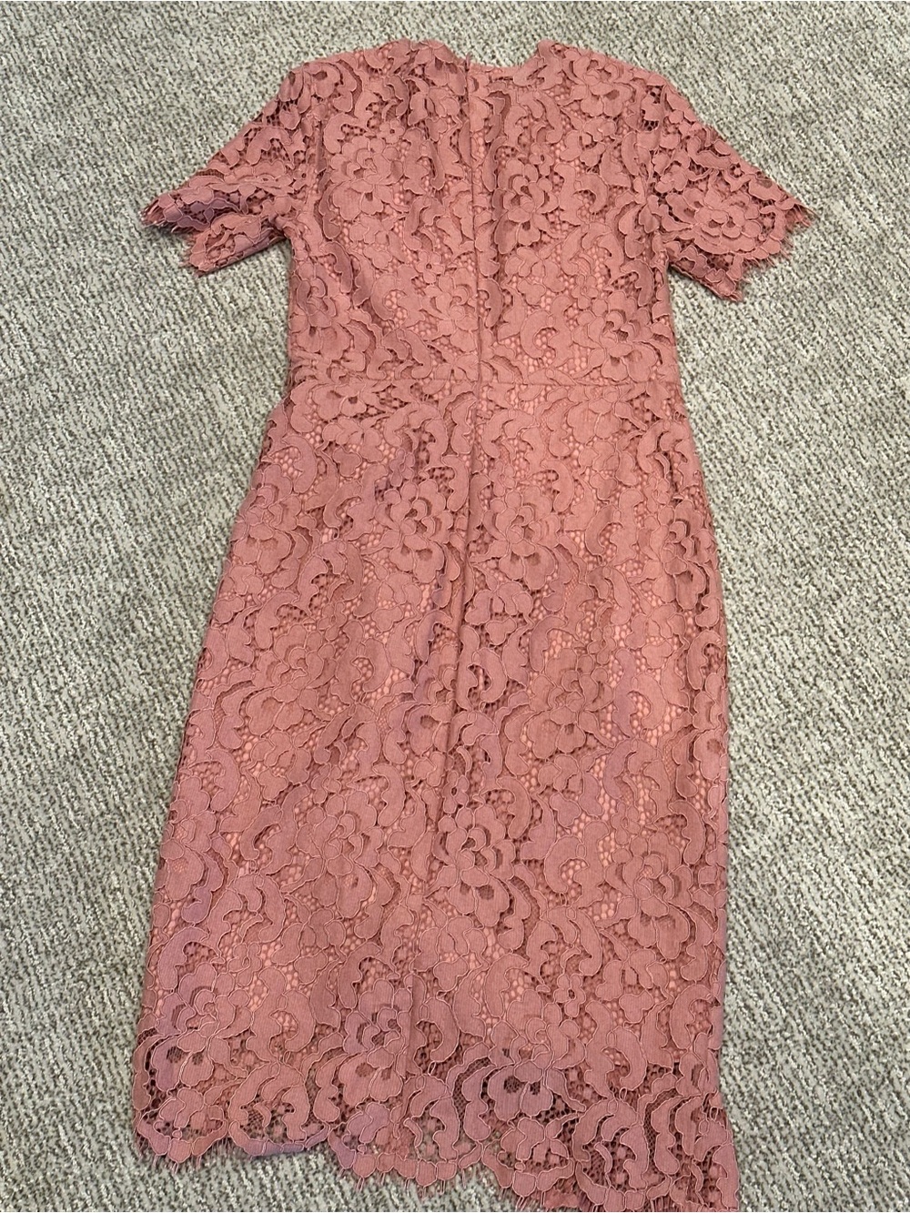 Rachel Parcell Dusty Rose Lace Midi with Ruffle Detail - Picture 6 of 6